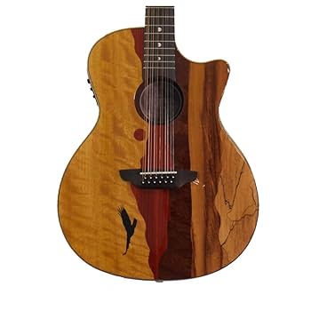 Luna VISTA EAGLE 12 Acoustic-Electric Guitar, Multi : Amazon